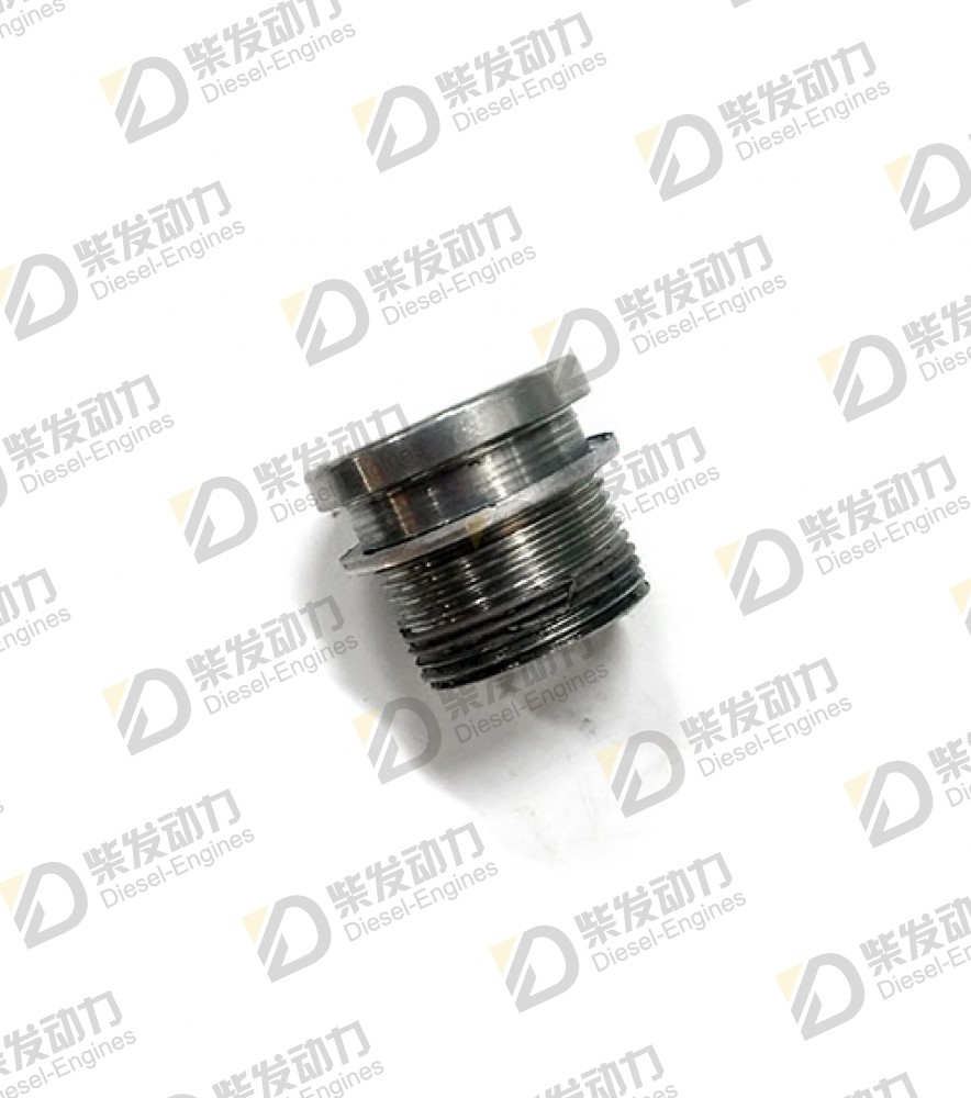 Screw 20405752 